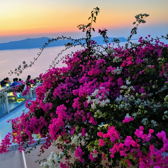 Meet your Posher. - Picture 1 of 1